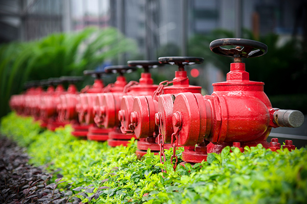 ����������˾��Ҫ����ʲô�ģ��������̵Ķ���