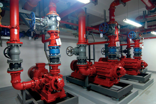 ����������⹫˾������������Ŀ